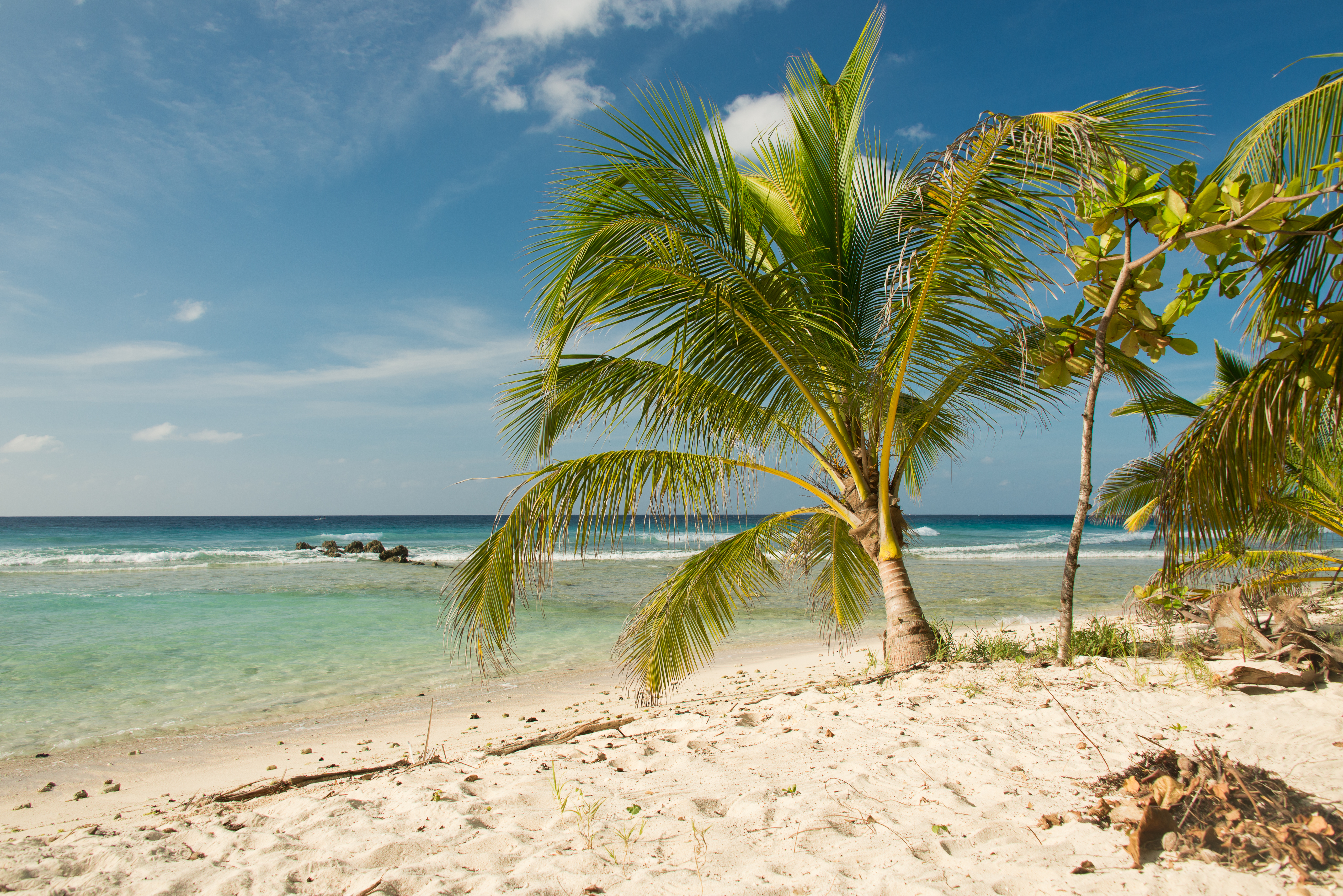 Drill Hall Beach near the Garrison